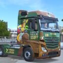 Actros Skin One Piece Usopp